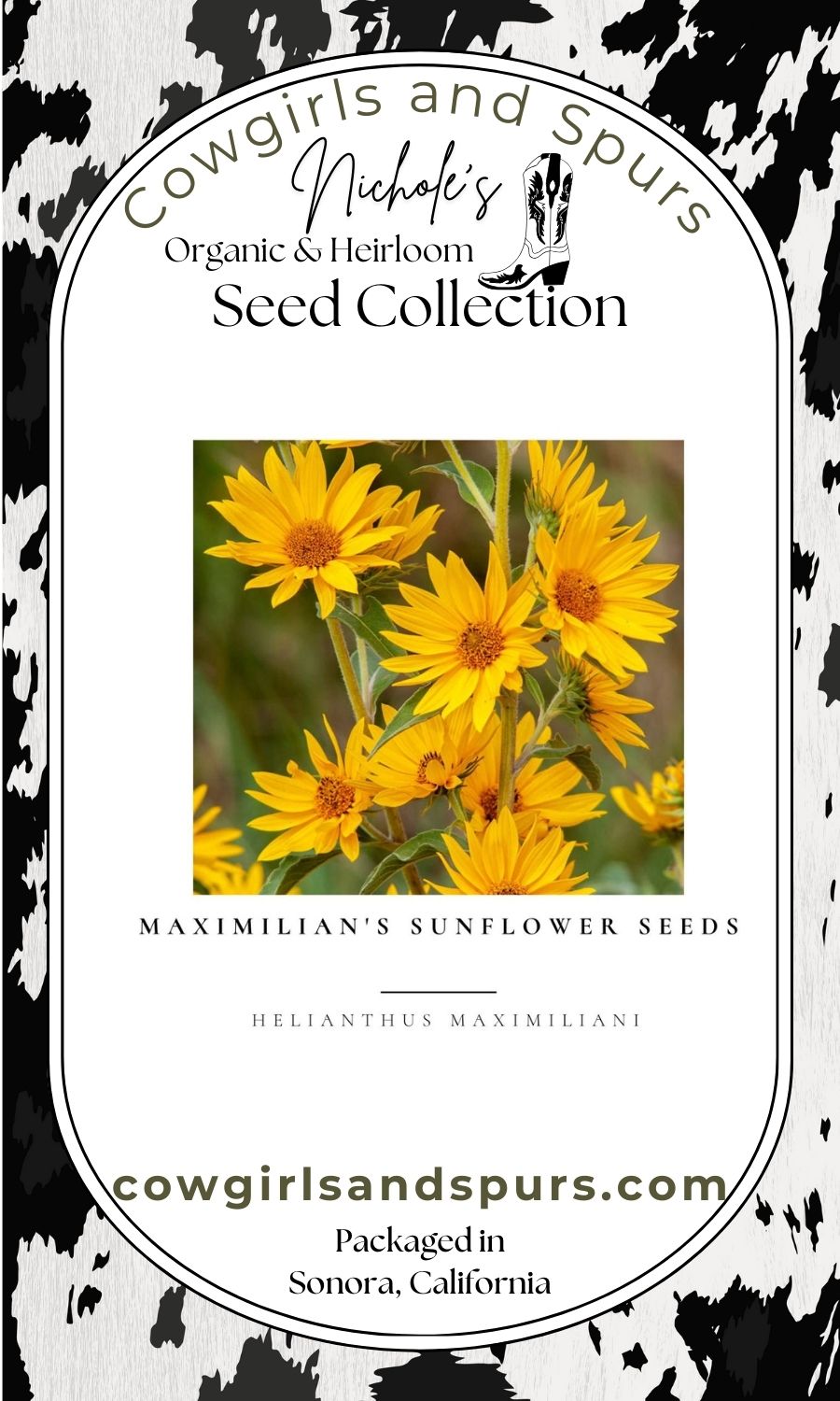 Maximilian's Sunflower Seeds