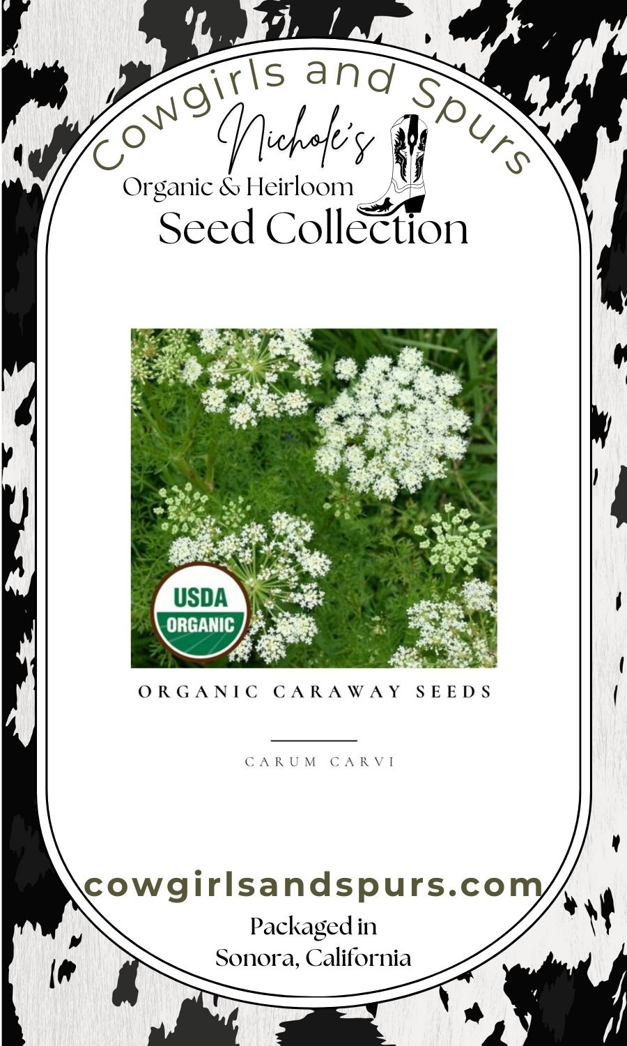 Organic Caraway Seeds