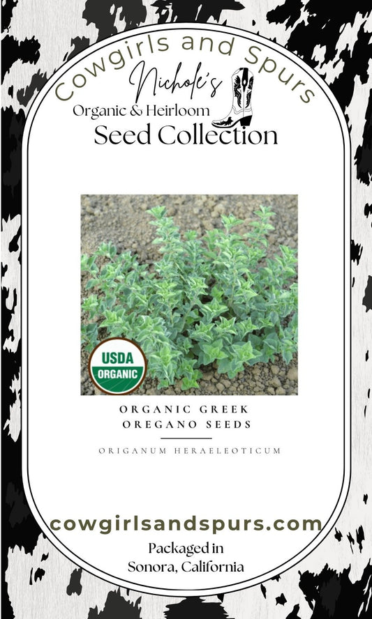 Organic Greek Oregano Seeds