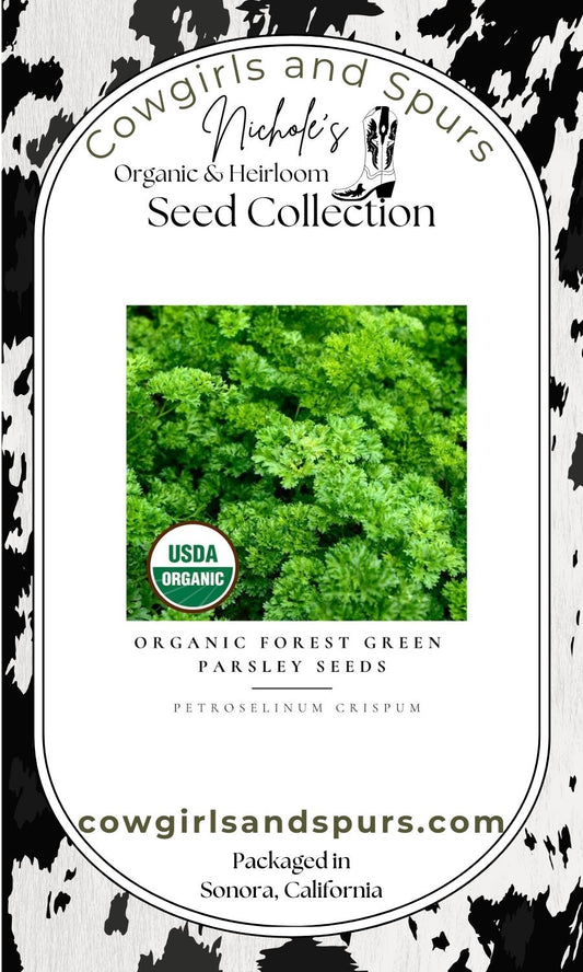 Organic Forest Green Parsley Seeds