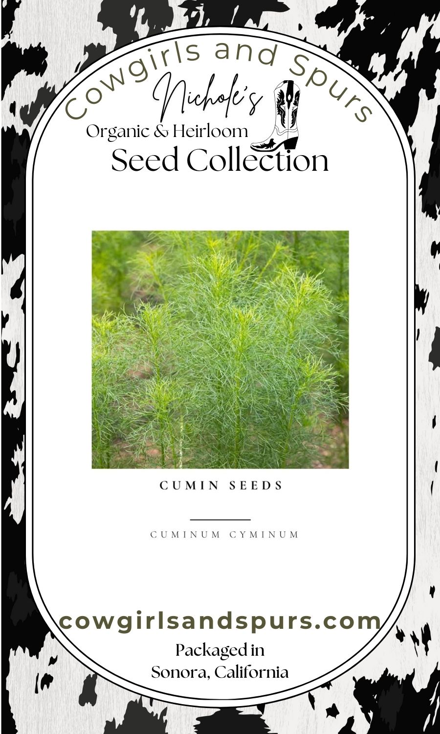 Cumin Seeds