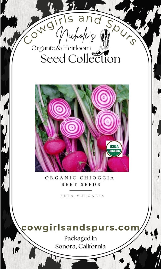 Organic Chioggia Beet Seeds