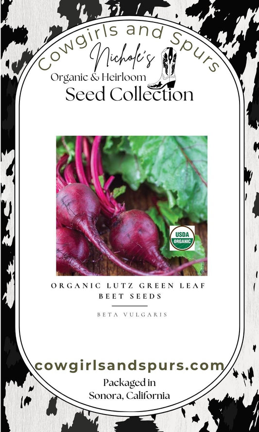 Organic Lutz Green Leaf Beet Seeds