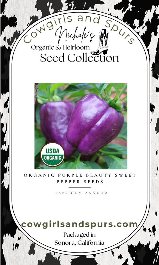 Organic Purple Beauty Sweet Pepper Seeds