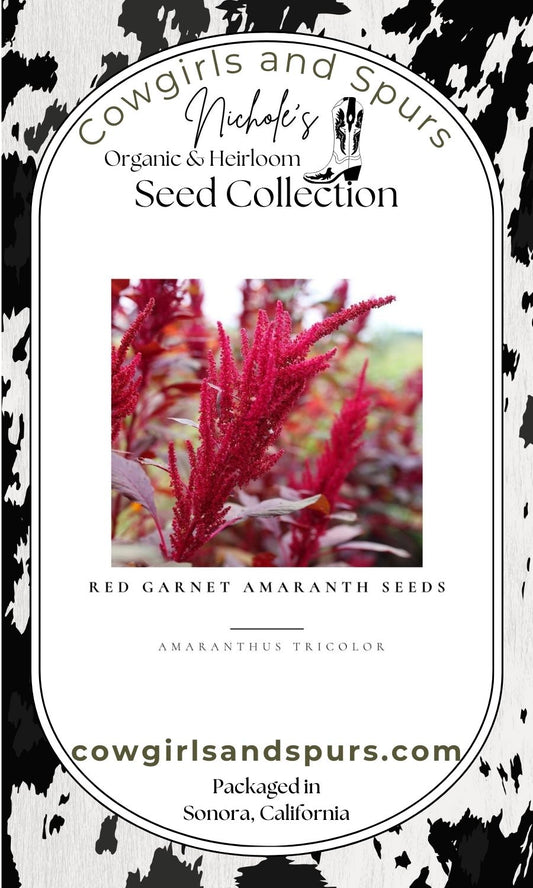 Red Garnet Amaranth Seeds