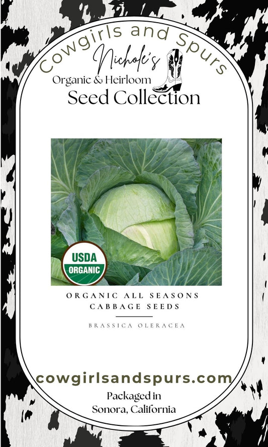 Organic All Seasons Cabbage Seeds