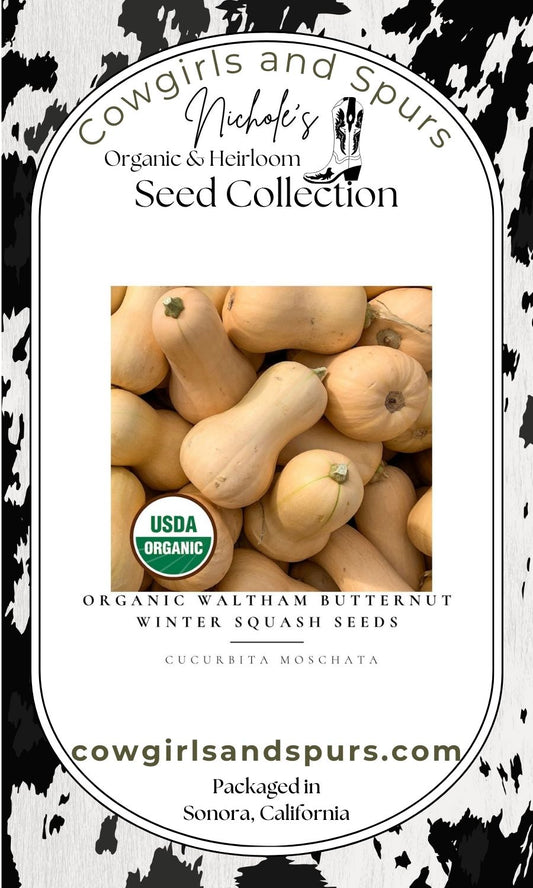 Organic Waltham Butternut Winter Squash Seeds