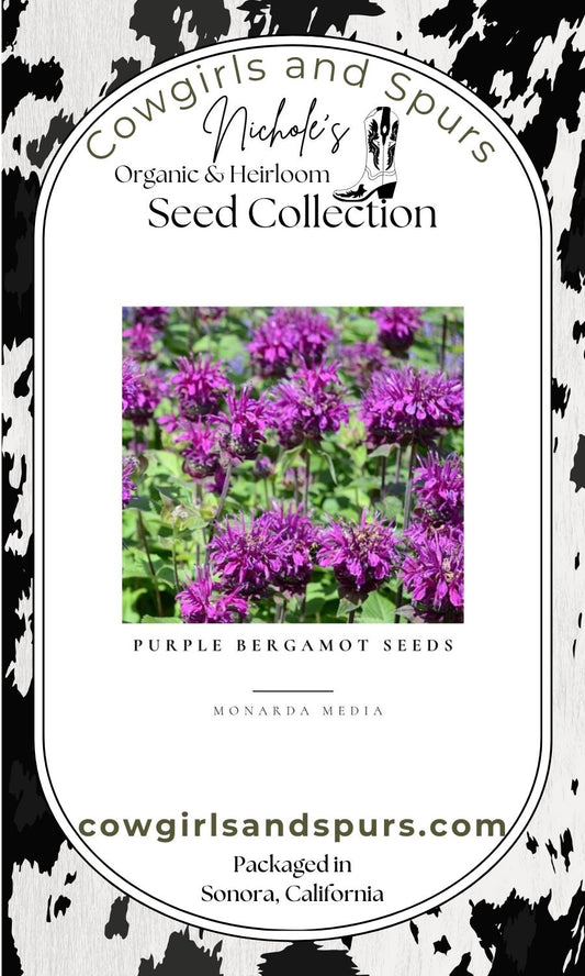 Purple Bergamot Seeds