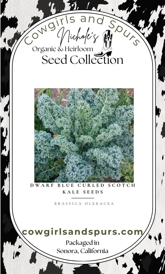 Dwarf Blue Curled Scotch Kale Seeds