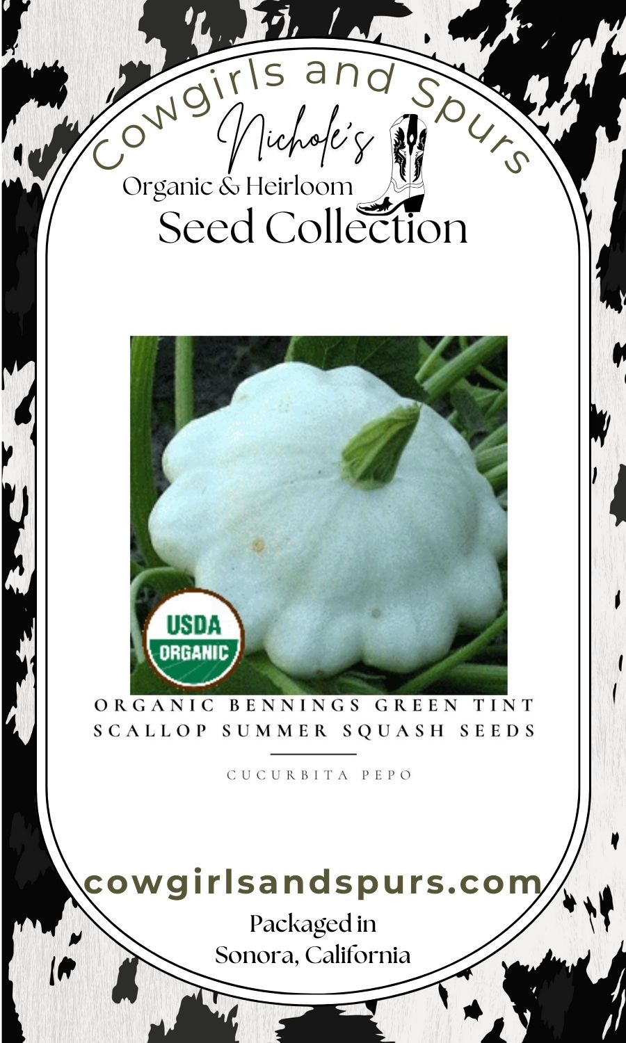 Organic Bennings Green Tint Scallop Summer Squash Seeds