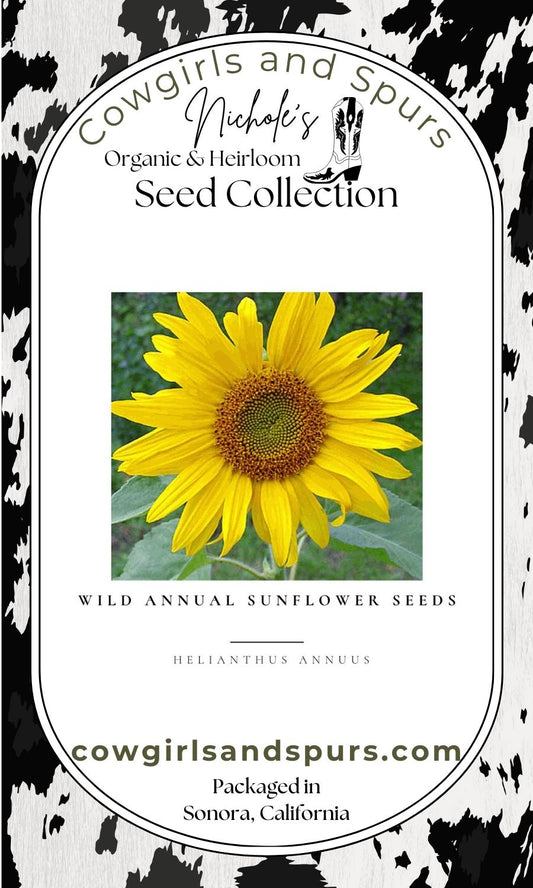 Wild Annual Sunflower Seeds